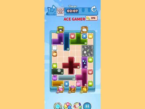 Drop The Cat Level 613