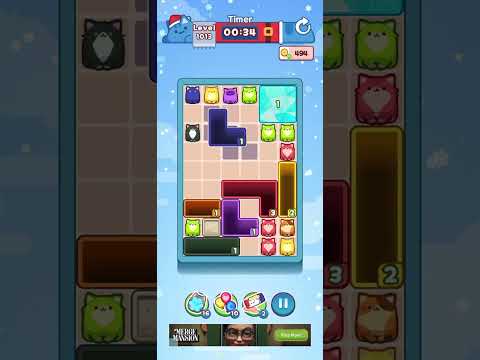 Drop The Cat Level 1013